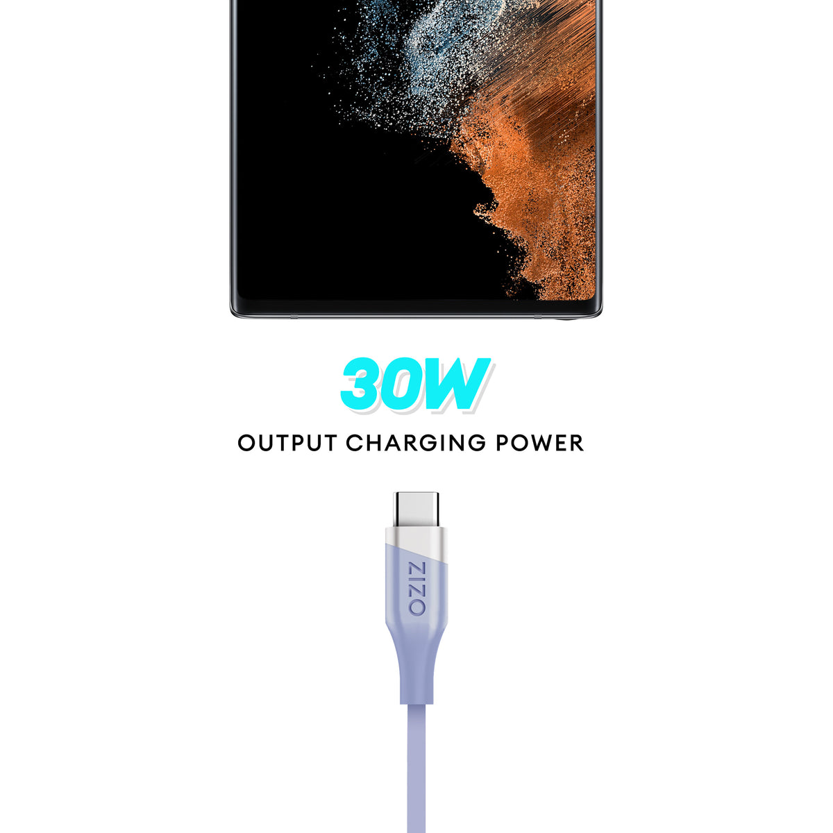 ZIZO PowerVault Cable USB-C to USB-C 6FT