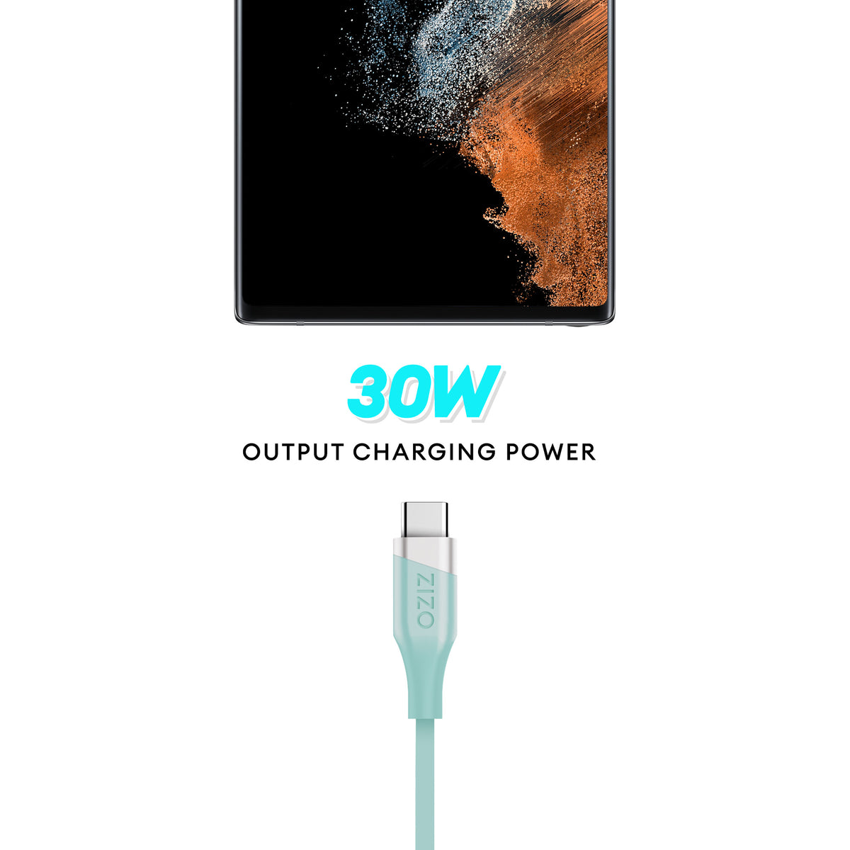ZIZO PowerVault Cable USB-C to USB-C 6FT